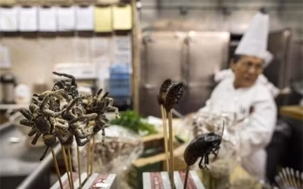 Đại gia đãi tiệc: Cá sấu nguyên con, gián nướng, nhện nướng… lên mâm - Ảnh 4