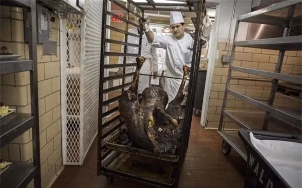 Đại gia đãi tiệc: Cá sấu nguyên con, gián nướng, nhện nướng… lên mâm - Ảnh 3