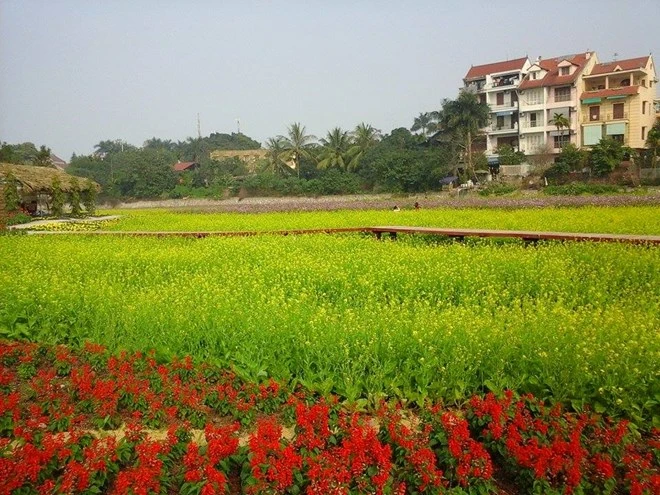 Kinh doanh tại Thung lũng hoa ven hồ Tây: Mỗi ngày thu hàng chục triệu đồng