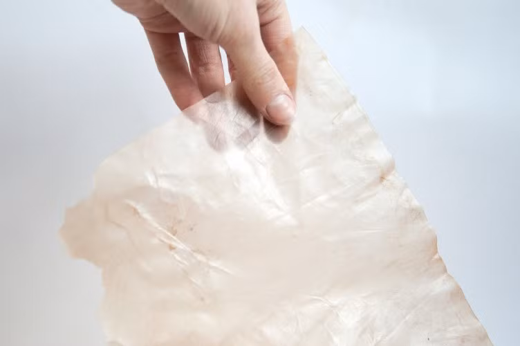 Lớp màng bảo quản nông sản.