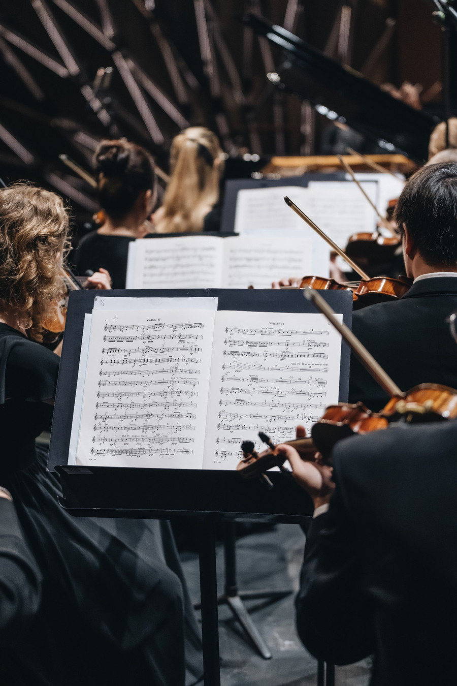 Rachmaninoff đưa sự sáng tạo và niềm đam mê đến một phạm vi rộng, khi ngoài piano, đã đưa cả một dàn nhạc lớn vào và tạo ra 24 biến tấu.