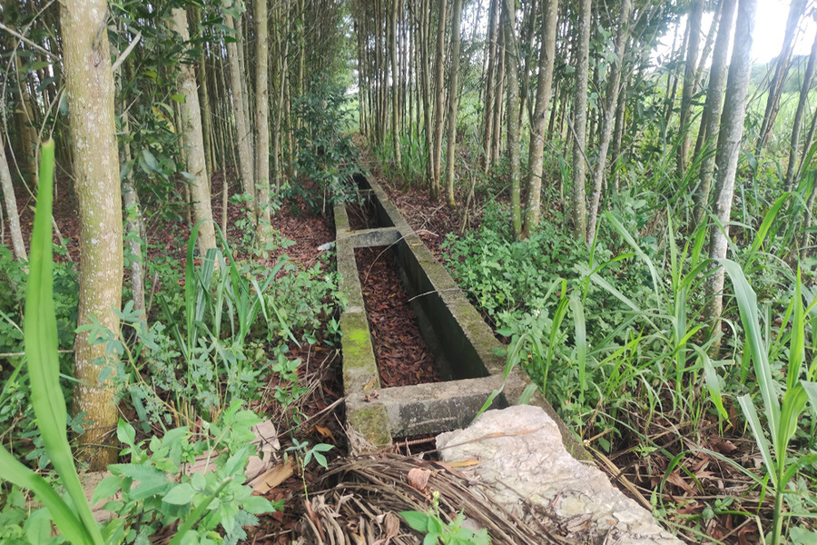 Tuyến mương nối trạm bơm ra ruộng nhiều năm nay không có nước chảy qua.