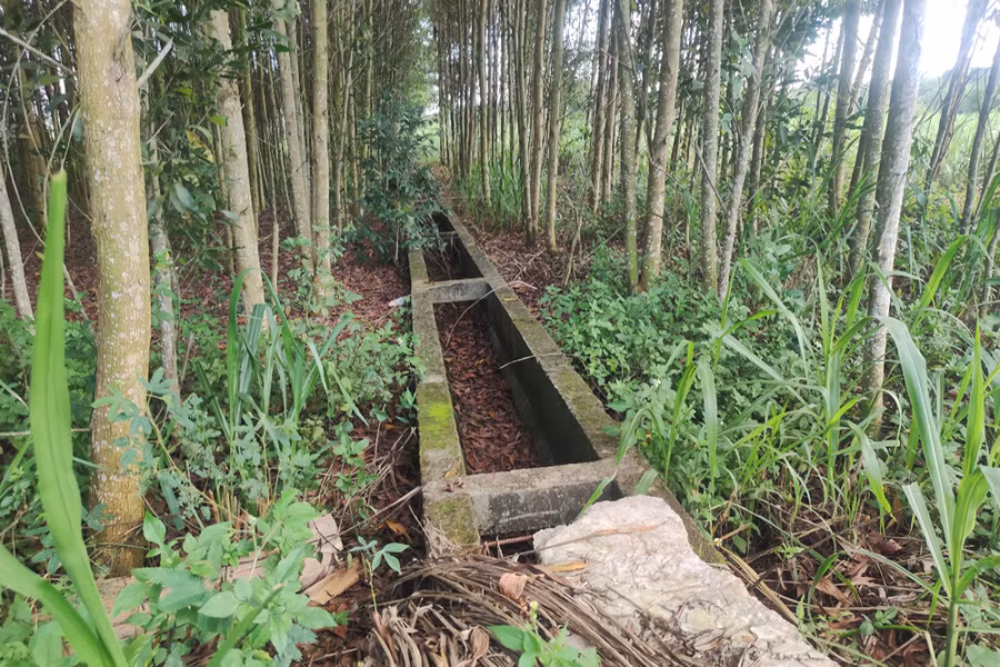 Tuyến mương nối trạm bơm ra ruộng nhiều năm nay không có nước chảy qua.