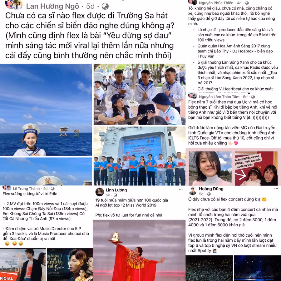 Nghệ sĩ cũng nhiệt tình 'flex'. Ảnh chụp màn hình.