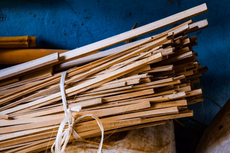 Làng "nuôi" chuồn chuồn tre ảnh 1