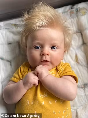 Em bé được mẹ hướng làm người mẫu nhí.