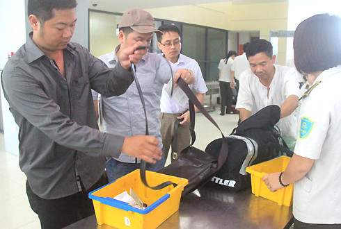 Kiểm tra an ninh trước khi lên máy bay. Ảnh minh họa: Đ.Loan kiem-tra-1496-1440146360.jpg
