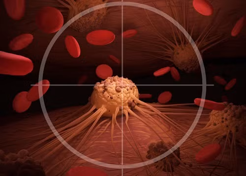 Các nhà khoa học phát hiện mối liên hệ giữa ung thư và bệnh tim mạch