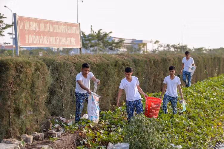Nhặt rác thải ngoài môi trường.