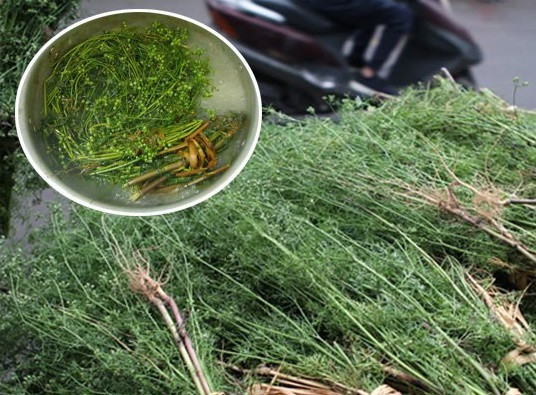 Người Việt xưa quan niệm rằng tắm nước lá mùi già sẽ xua đi những điều không may mắn của năm cũ. Ảnh minh họa.