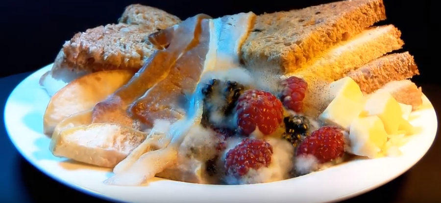 Ngoài tác hại gây độc cấp tính, nấm mốc còn tích lũy dần dần trong cơ thể và sẽ là nguyên nhân gây bệnh ung thư. Ngoài tác hại gây độc cấp tính, nấm mốc còn tích lũy dần dần trong cơ thể và sẽ là nguyên nhân gây bệnh ung thư.