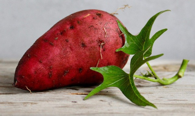 Khoai lang chứa nhiều chất xơ giúp thúc đẩy quá trình tiêu hóa. Khoai lang chứa nhiều chất xơ giúp thúc đẩy quá trình tiêu hóa.