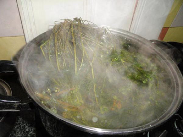 Tắm lá mùi ngày 30 Tết là tục lệ lâu đời của người Việt. Ảnh minh họa.