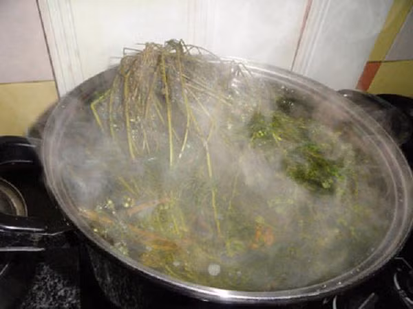 Tắm lá mùi ngày 30 Tết là tục lệ lâu đời của người Việt. Ảnh minh họa.