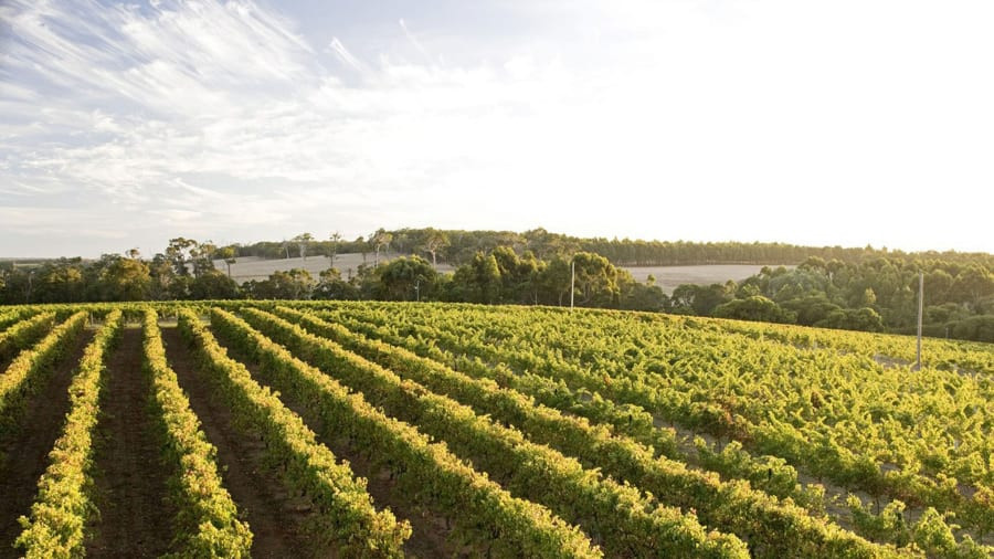 1. Sông Margaret và Tây Nam Úc: Từ những vườn nho bạt ngàn cho tới những hoạt động như lướt sóng, nơi đây mang lại cho du khách tất cả những gì họ cần trong một chuyến đi. 1. Sông Margaret và Tây Nam Úc: Từ những vườn nho bạt ngàn cho tới những hoạt động như lướt sóng, nơi đây mang lại cho du khách tất cả những gì họ cần trong một chuyến đi.