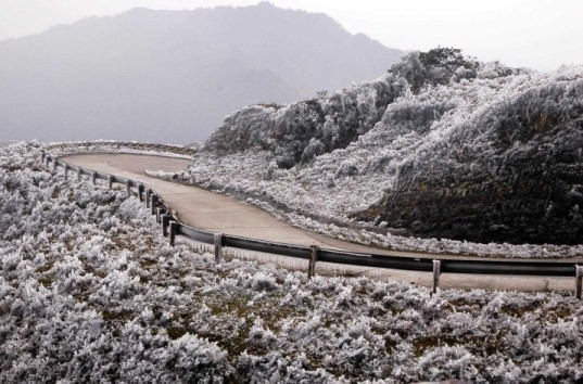 Ảnh minh họa: Internet