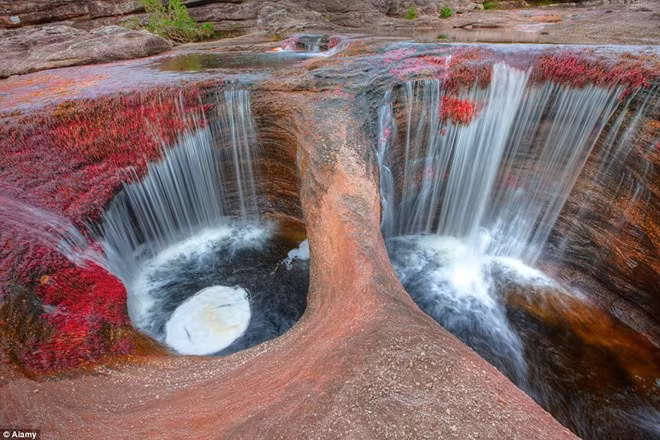 Các hố nước dọc sông với các bụi cây Macarenia Clavigera tạo ra một khung cảnh tuyệt đẹp.