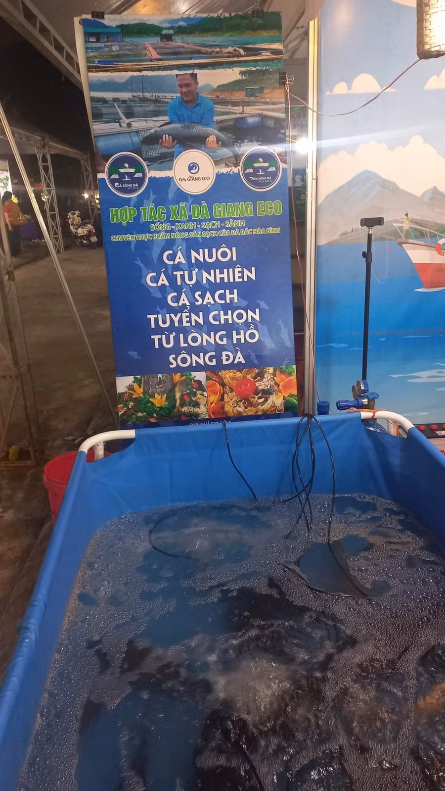 Gian hàng trưng bày cá sông Đà.