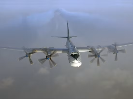 Máy bay Tu-95MS
