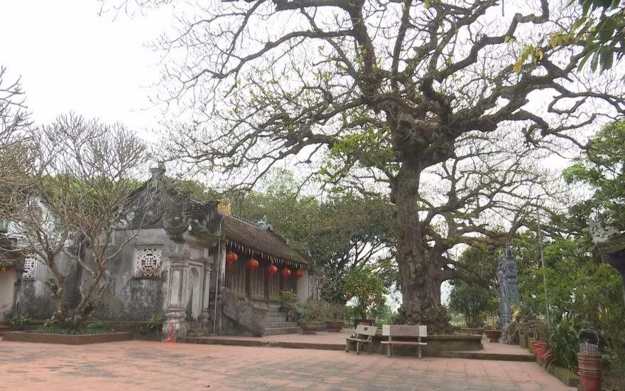 Ngoài đền Côn Giang, ở Thái Bình còn nhiều nơi thờ Hoàng giáp Quách Hữu Nghiêm.