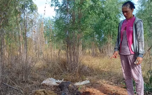 Vào nhà dân trộm bò rồi mang ra rẫy xẻ thịt