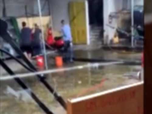 Bắt khẩn cấp nhóm côn đồ chém gục tài xế trong bến xe Cửa Ông ảnh 1