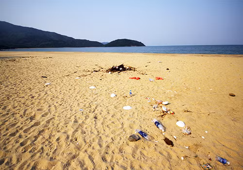 Đà Nẵng xử phạt người xả rác ra bãi biển