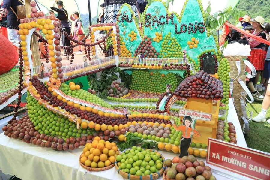 Trái mận được trang trí thành mô hình bắt mắt tại hội thi. Trái mận được trang trí thành mô hình bắt mắt tại hội thi.