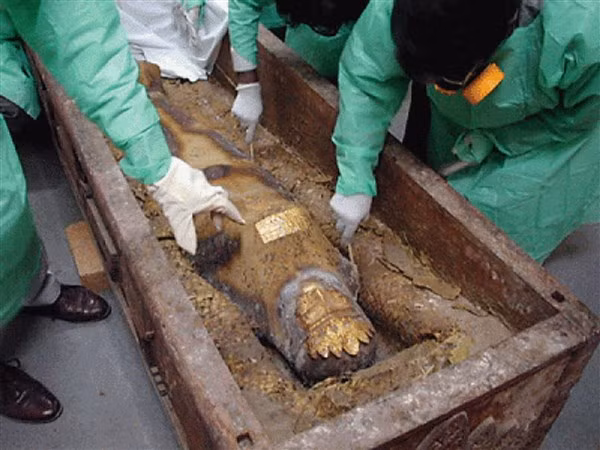 Các chuyên gia khảo cổ kiểm tra xác ướp.