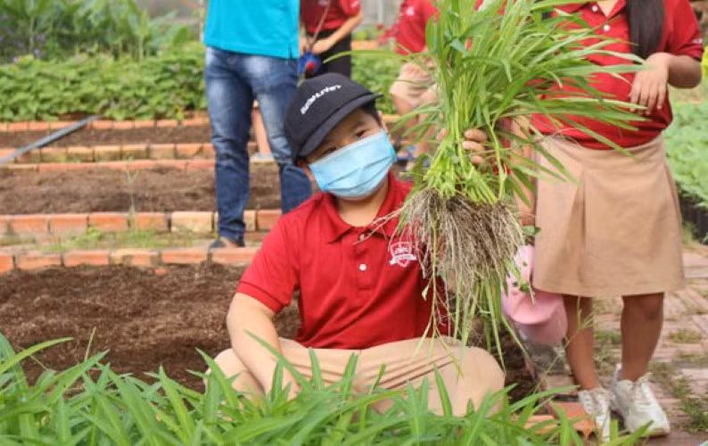 Học sinh Trường Hội nhập Quốc tế iSchool tham quan nông trại Phan Nam.