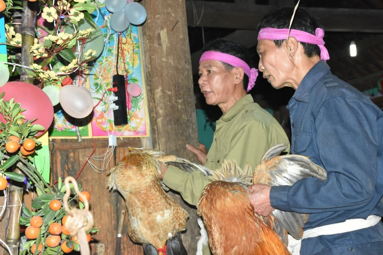 Gà trống là linh vật không thể thiếu trong lễ nhảy lửa. Gà trống là linh vật không thể thiếu trong lễ nhảy lửa.