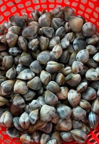 Xiếp Quan Lạn “níu hồn” thực khách ảnh 1 Xiếp Quan Lạn “níu hồn” thực khách ảnh 1