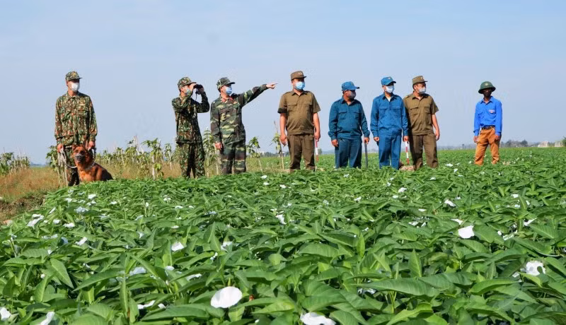 Cán bộ, chiến sĩ Đồn Biên phòng cửa khẩu quốc tế Vĩnh Xương, thị xã Tân Châu (An Giang) tuần tra kiểm soát khu vực biên giới. Ảnh: P.Ánh