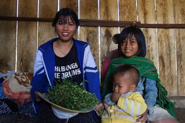 Mớ rau dại em Y Họ Phương Sai hái được ngoài ruộng trở thành món chính cho bữa cơm chiều.