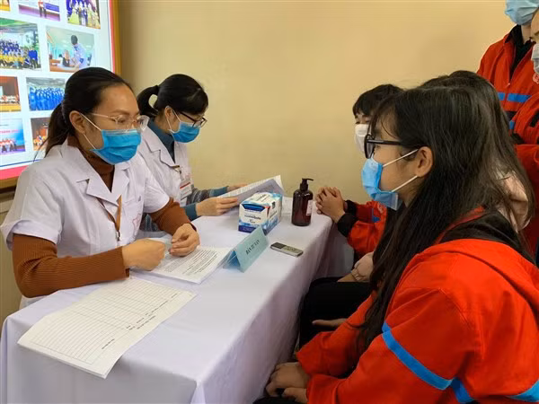 Sinh viên Trường Đại học Y Hà Nội tìm hiểu về chương trình thử nghiệm vắc-xin.