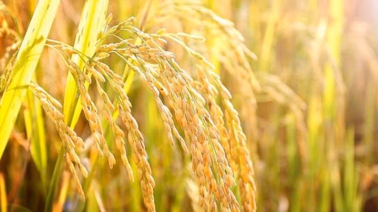 Ảnh minh họa/INT