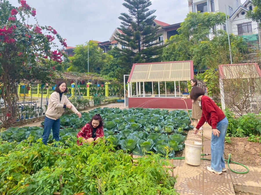 Giáo viên Trường Mầm non Đồng Sơn (TP Bắc Giang) chăm sóc vườn rau, vệ sinh trường lớp, sẵn sàng đón học sinh trở lại.