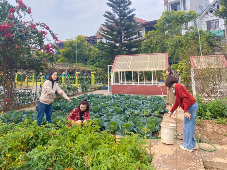 Giáo viên Trường Mầm non Đồng Sơn (TP Bắc Giang) chăm sóc vườn rau, vệ sinh trường lớp, sẵn sàng đón học sinh trở lại.