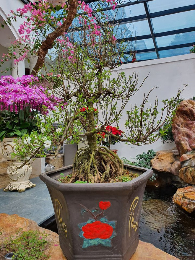 Ben trong biet thu cao cap cua ca si Tuan Hung o Ha Noi hinh anh 9 bi.jpg