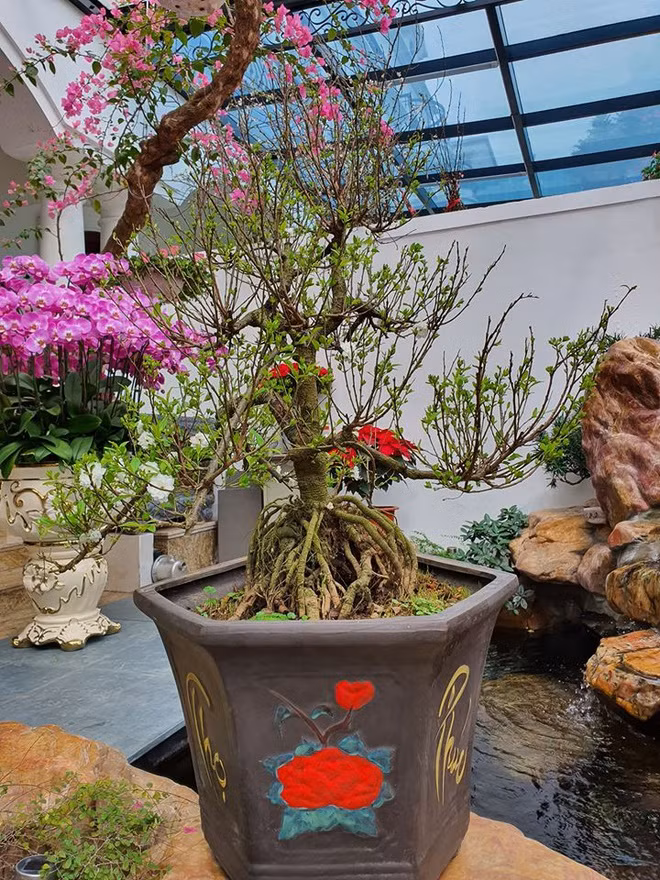 Ben trong biet thu cao cap cua ca si Tuan Hung o Ha Noi hinh anh 9 bi.jpg