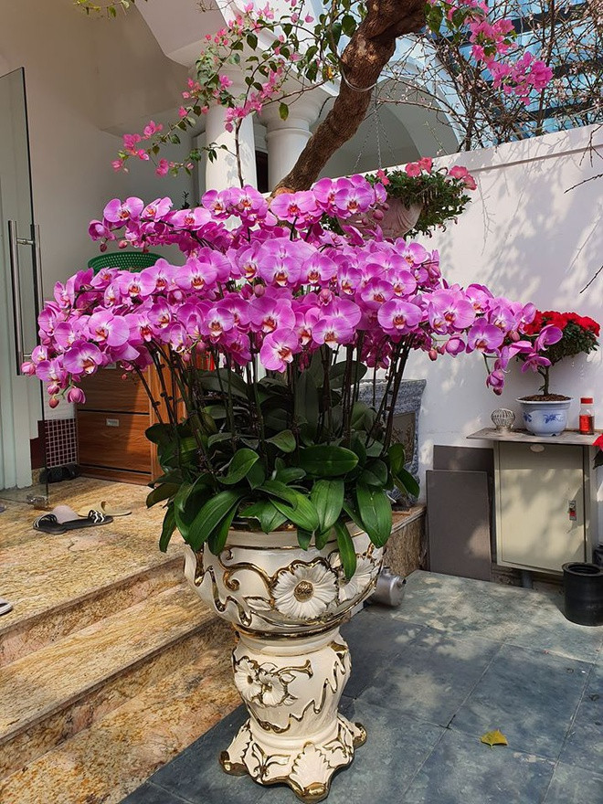 Ben trong biet thu cao cap cua ca si Tuan Hung o Ha Noi hinh anh 7 tuannn.jpg