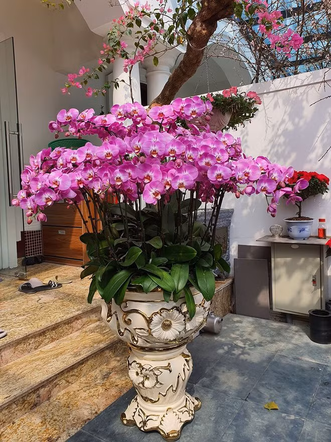 Ben trong biet thu cao cap cua ca si Tuan Hung o Ha Noi hinh anh 7 tuannn.jpg