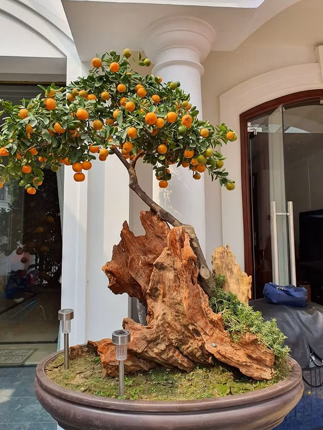 Ben trong biet thu cao cap cua ca si Tuan Hung o Ha Noi hinh anh 11 bi2.jpg