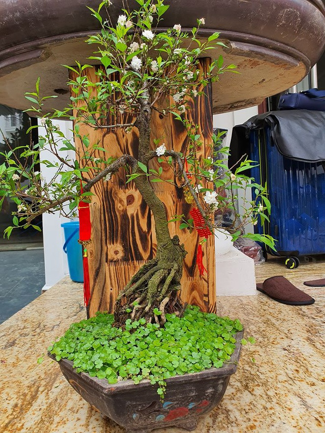 Ben trong biet thu cao cap cua ca si Tuan Hung o Ha Noi hinh anh 10 bi3.jpg