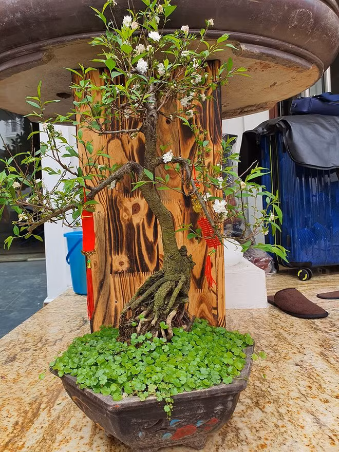 Ben trong biet thu cao cap cua ca si Tuan Hung o Ha Noi hinh anh 10 bi3.jpg