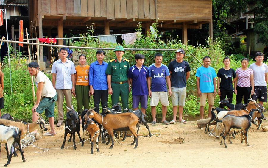 Đoàn kinh tế Quốc phòng 5 Quân khu 4 hỗ trợ dê giống cho đồng bào vùng dự án KTQP huyện Mường Lát.