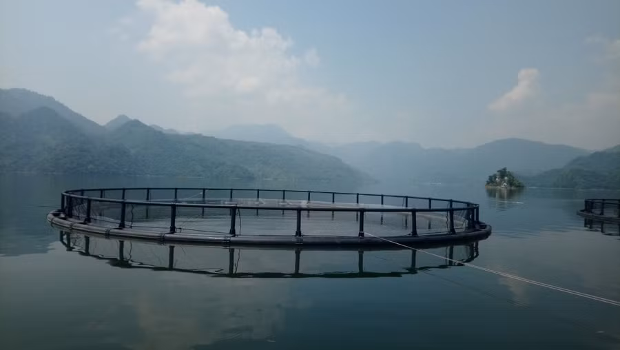 Khung lồng hình tròn để nuôi trồng thủy sản của nhóm nghiên cứu.