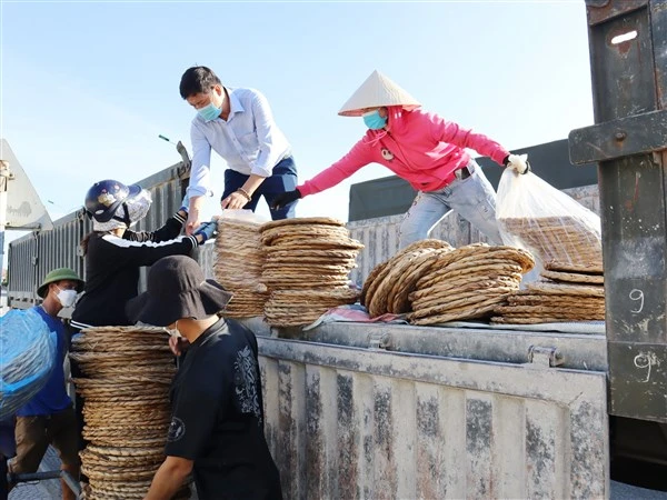 Lô hàng từ cây bèo tây đầu tiên được thu mua, xuất khẩu đi nước ngoài.