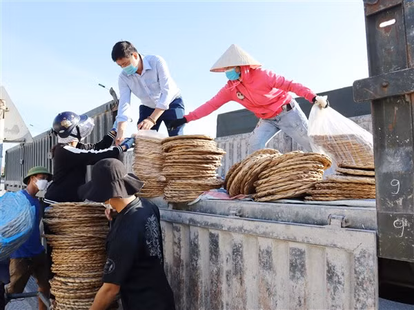 Lô hàng từ cây bèo tây đầu tiên được thu mua, xuất khẩu đi nước ngoài.