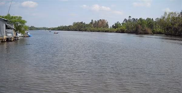 Một khúc sông Trẹm.